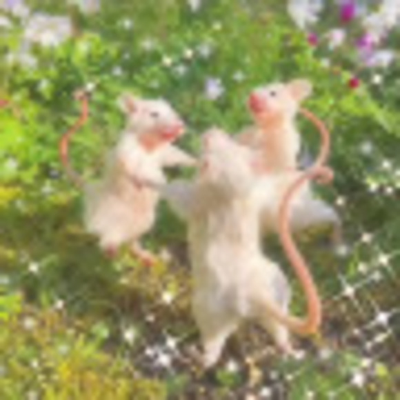 Meet your Posher, Bella - Picture 1 of 1